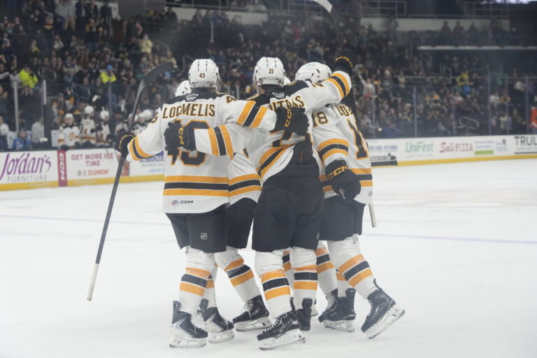 Dans Ločmelis, hokejazinas.com