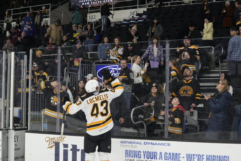 Dans Ločmelis, hokejazinas.com