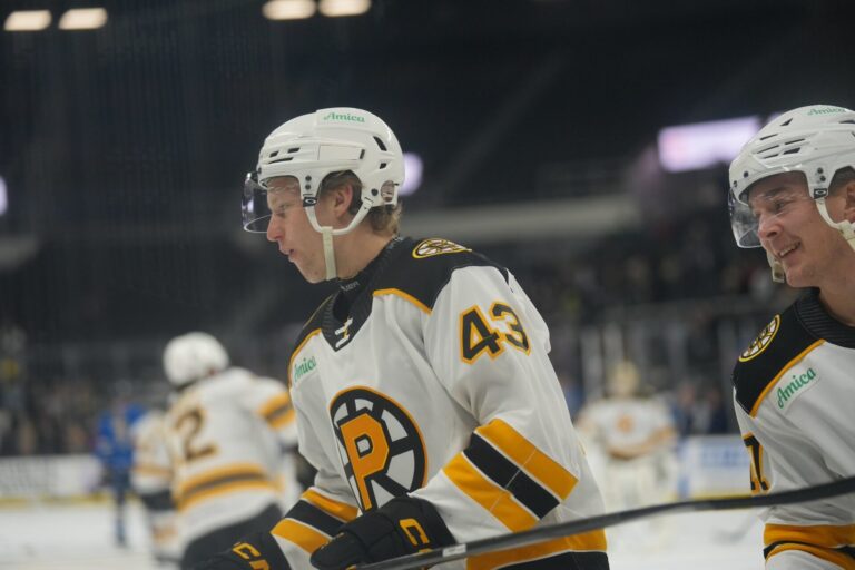 Dans Ločmelis, hokejazinas.com