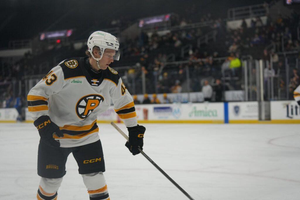 Dans Ločmelis, hokejazinas.com