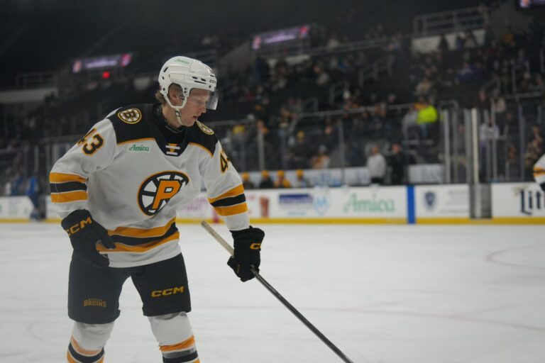 Dans Ločmelis, hokejazinas.com