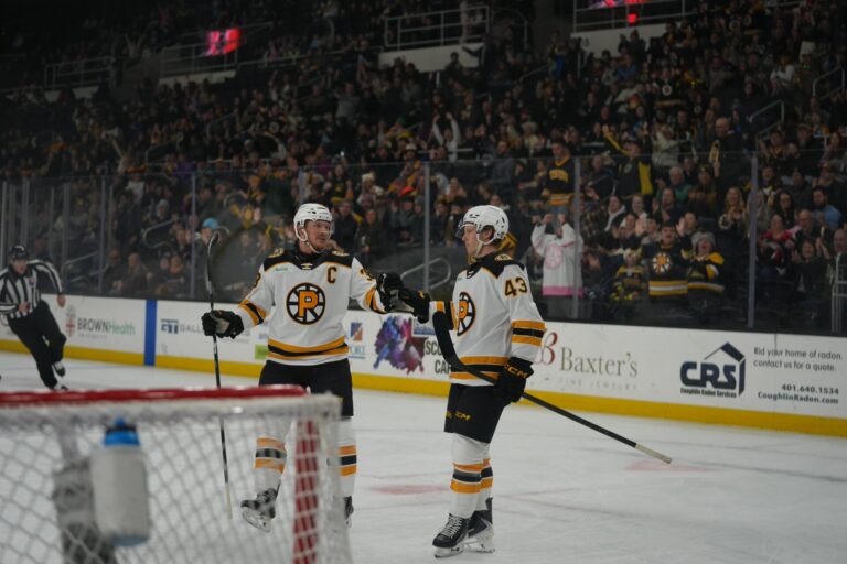 Dans Ločmelis, hokejazinas.com