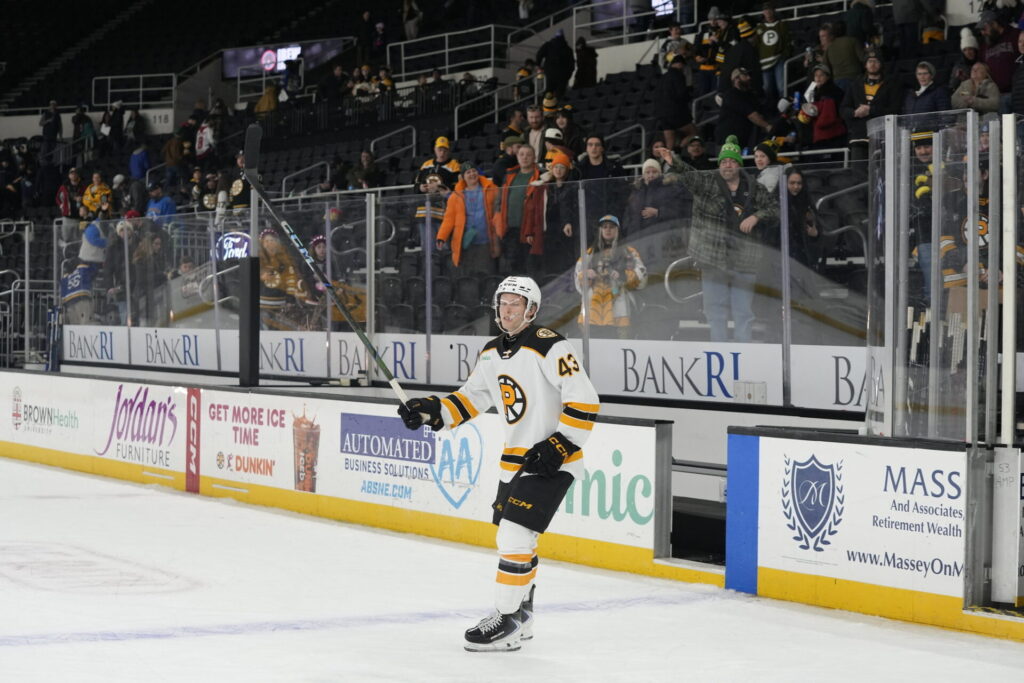 Dans Ločmelis, hokejazinas.com