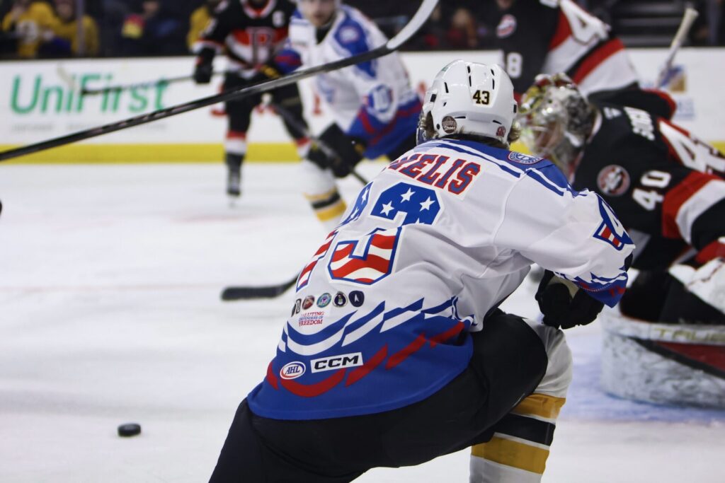 Dans Ločmelis, hokejazinas.com