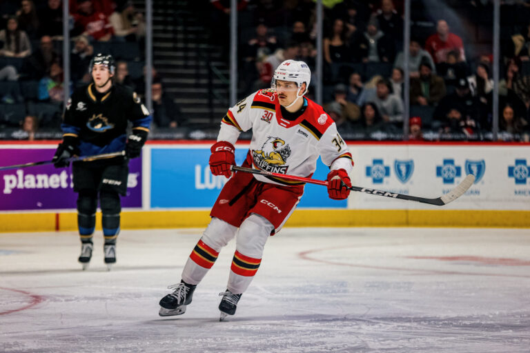 Eduards Tralmaks, hokejazinas.com