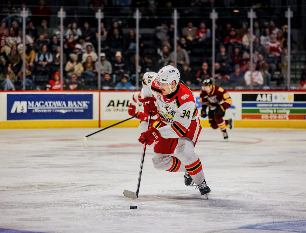 Eduards Tralmaks, hokejazinas.com