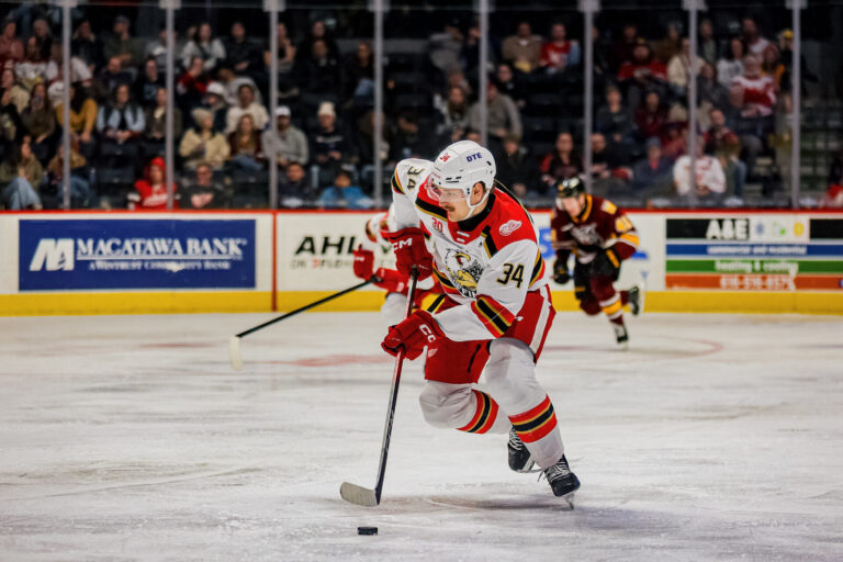 Eduards Tralmaks, hokejazinas.com