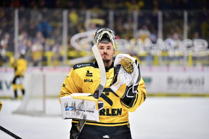 Matejs Tomeks, Litvinovas Verva