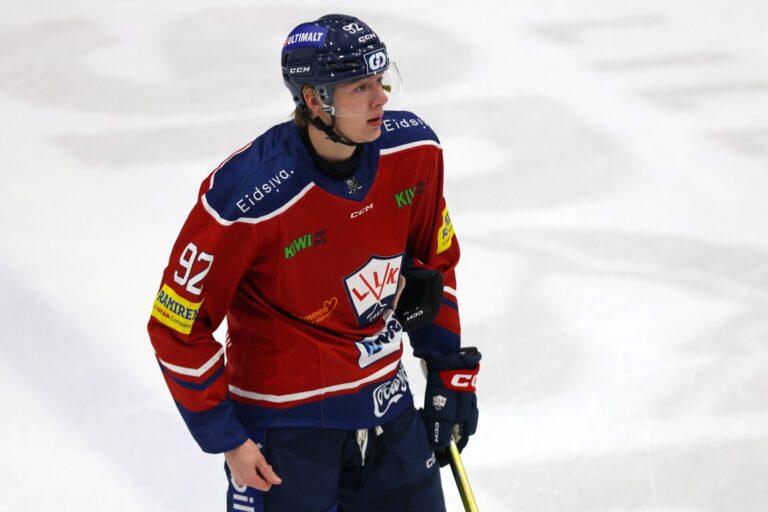 Emīls Šķeltiņš, hokejazinas.com