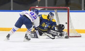 Jānis Fecers, Hokejazinas.com
