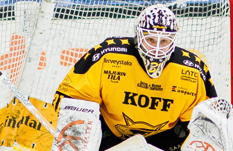 Gustavs Dāvis Grigals, Hokejazinas.com