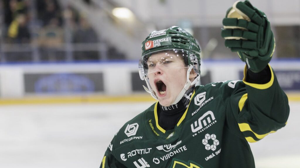 Bruno Osmanis, hokejazinas.com