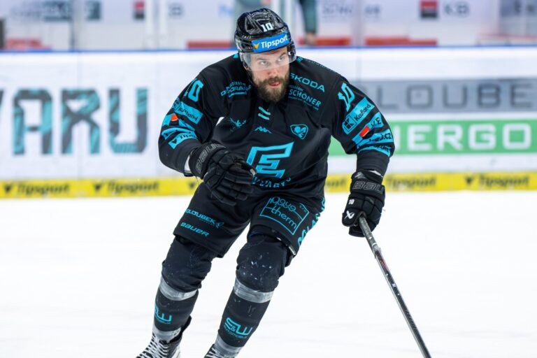 Haralds Egle, Hokejazinas.com