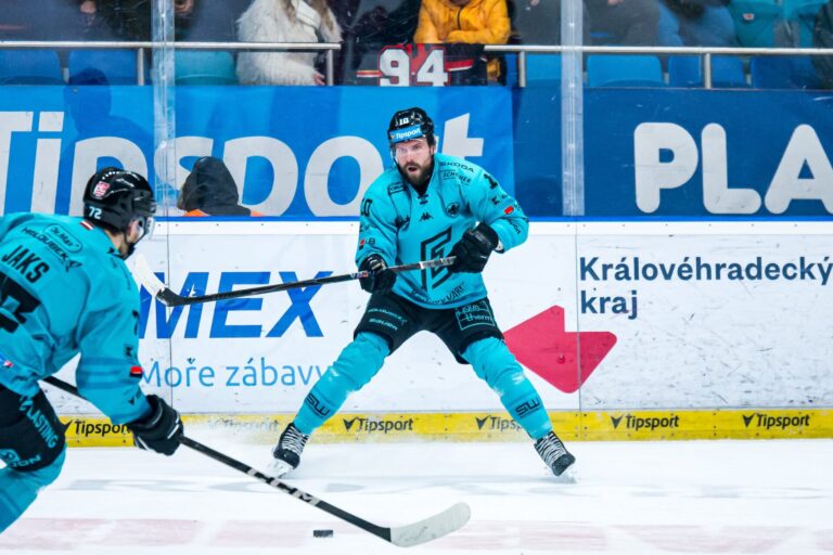 Haralds Egle, Hokejazinas.com