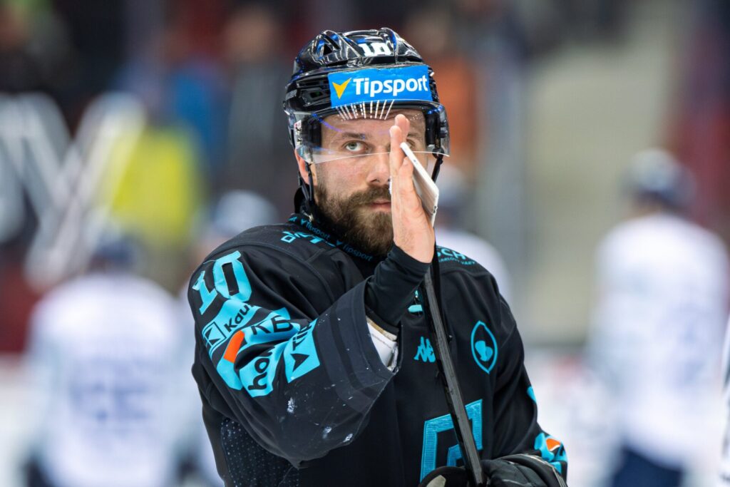 Haralds Egle, Hokejazinas.com