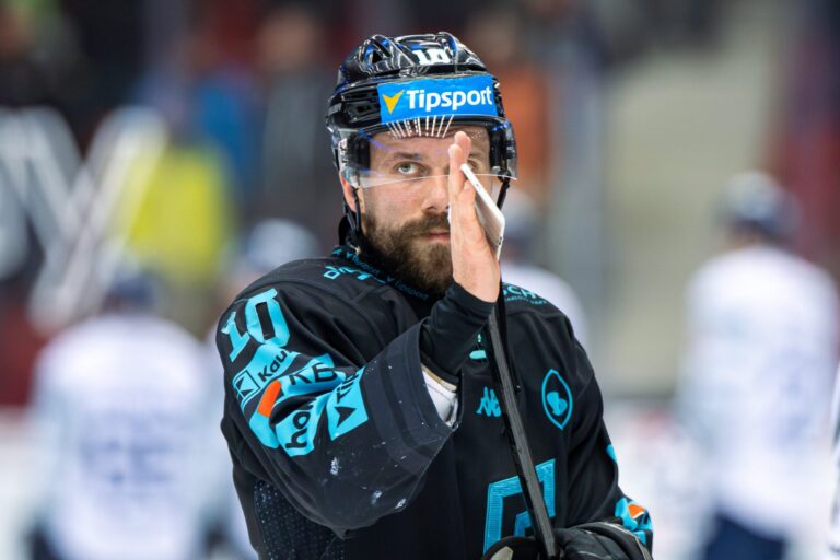 Haralds Egle, Hokejazinas.com