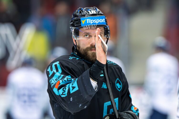 Haralds Egle, Hokejazinas.com