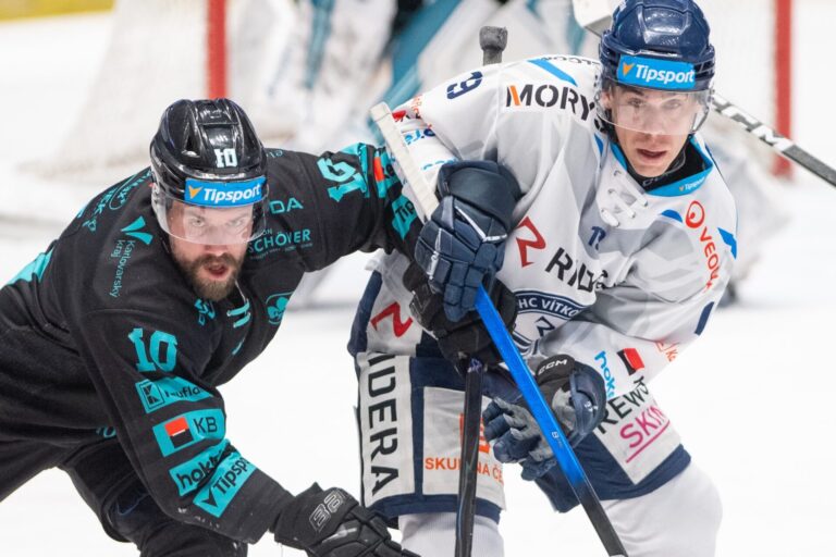 Haralds Egle, Hokejazinas.com