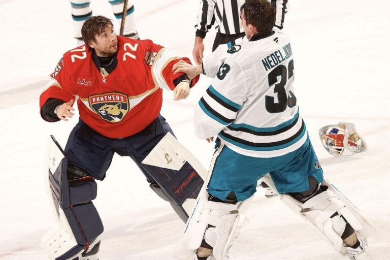 Sergejs Bobrovskis un Alekss Nedeljkovičs, hokejazinas.com