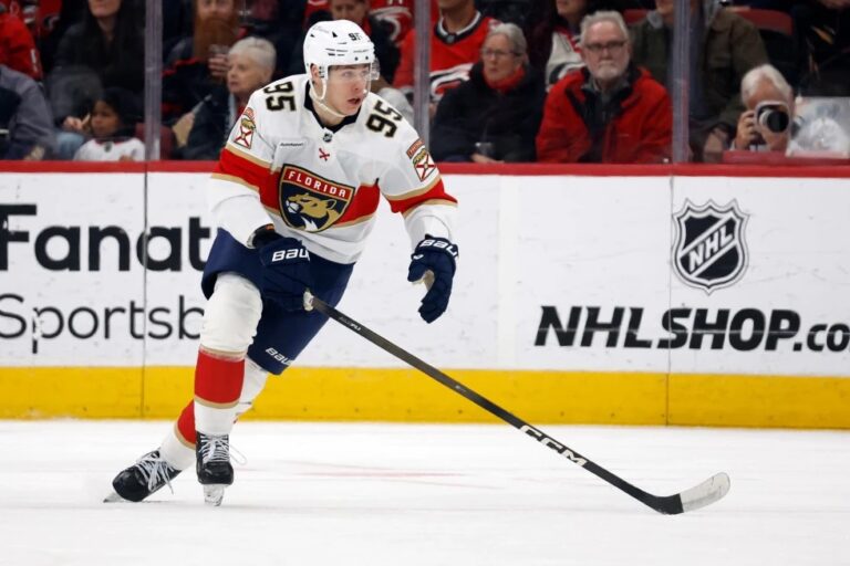 Sandis Vilmanis, hokejazinas.com