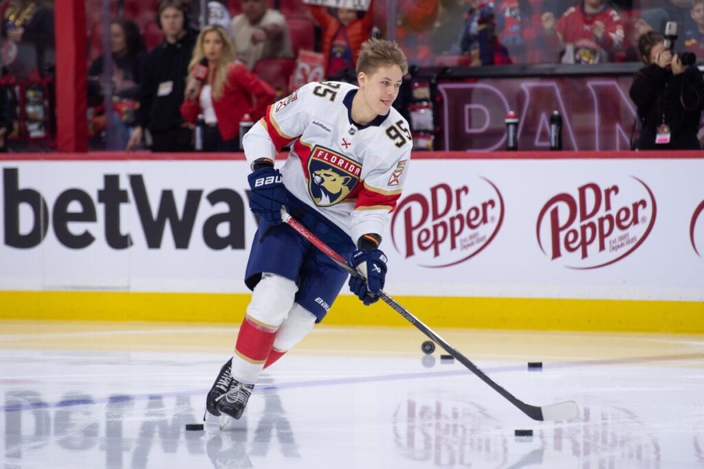 Sandis Vilmanis, hokejazinas.com