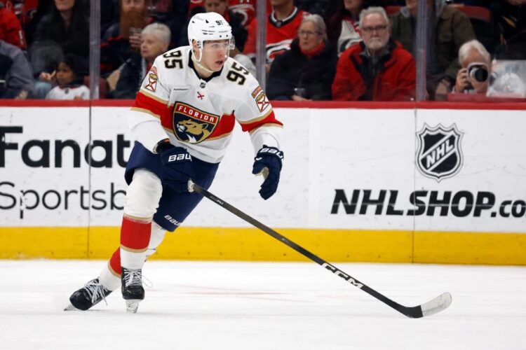 Sandis Vilmanis, hokejazinas.com