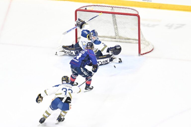 Jānis Fecers, Hokejazinas.com