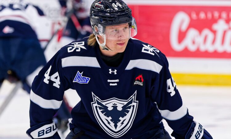 Reinis Auziņš, hokejazinas.com