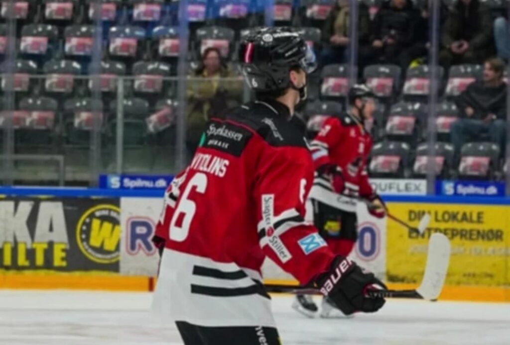 Raimonds Vītoliņš, hokejazinas.com