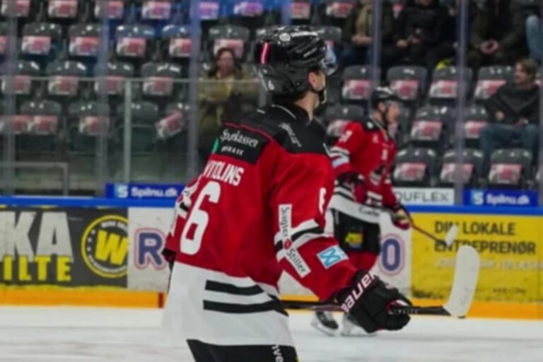 Raimonds Vītoliņš, hokejazinas.com