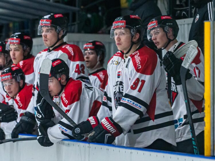 Tallinas Panter, hokejazinas.com