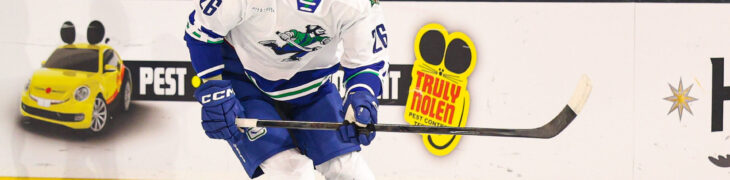 Anrī Ravinskis, hokejazinas.com