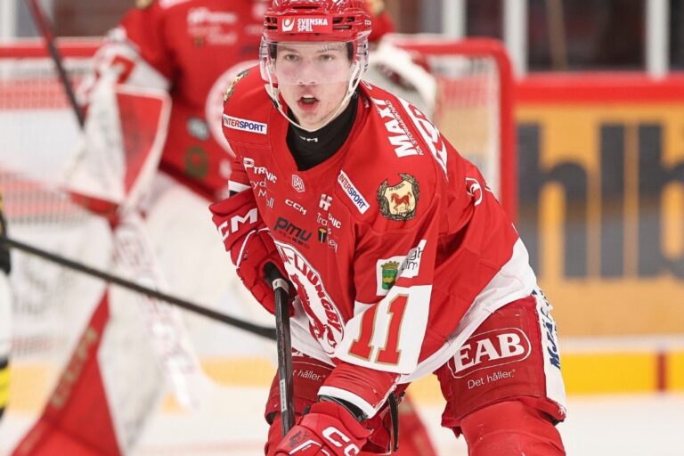 Arvils Bergmanis, hokejazinas.com