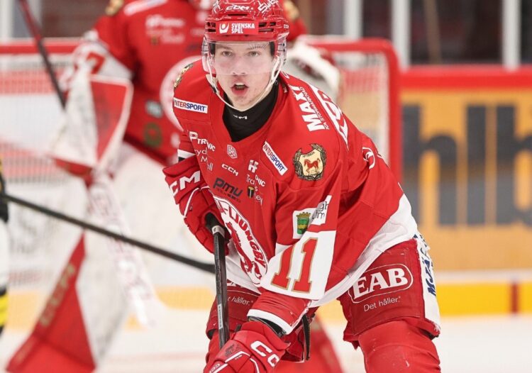 Arvils Bergmanis, hokejazinas.com