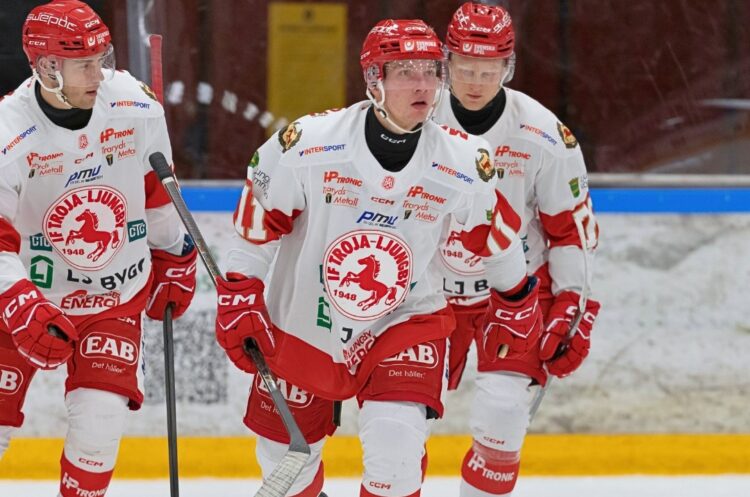 Arvils Bergmanis, hokejazinas.com