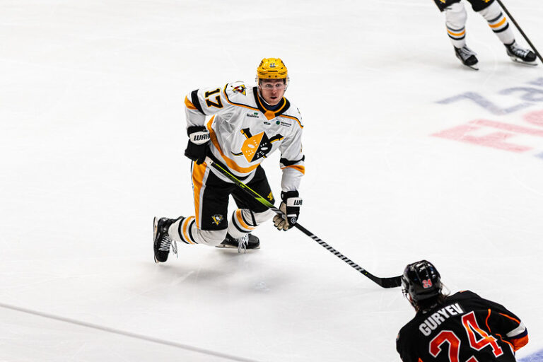 Bogdans Hodass, hokejazinas.com