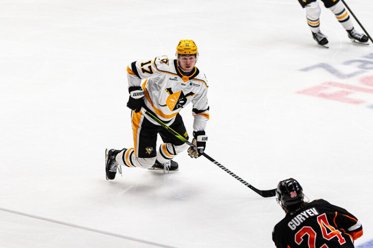 Bogdans Hodass, hokejazinas.com