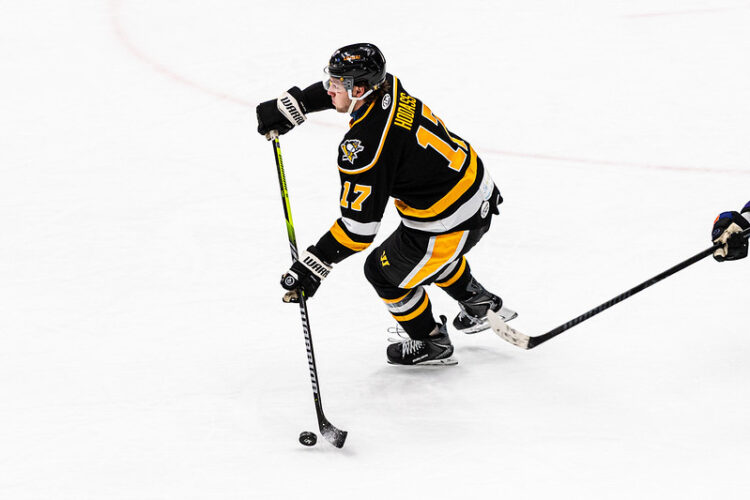 Bogdans Hodass, hokejazinas.com