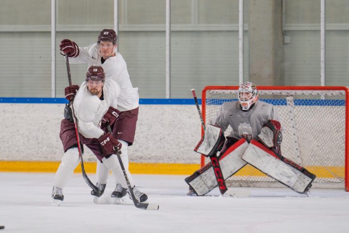Oskars Cibuļskis, Rihards Bukarts, Ēriks Vītols