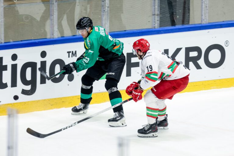 Daniels Bērziņš, hokejazinas.com