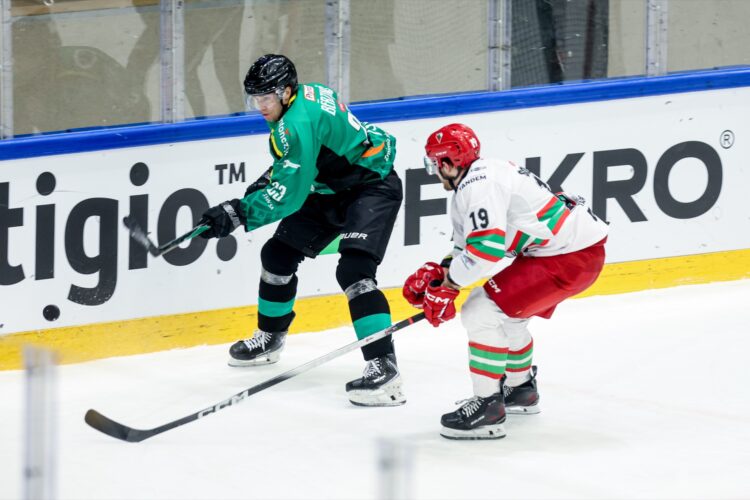 Daniels Bērziņš, hokejazinas.com