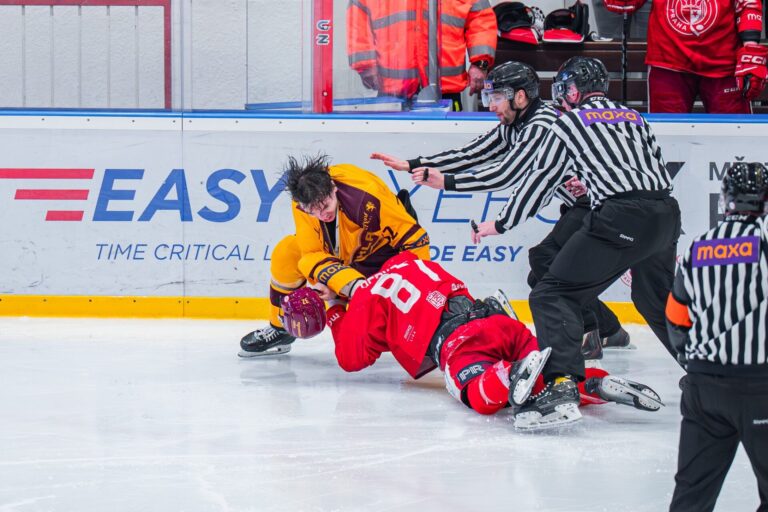 Edgars Kulda, Hokejazinas.com