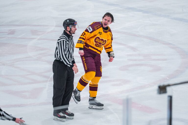 Edgars Kulda, Hokejazinas.com