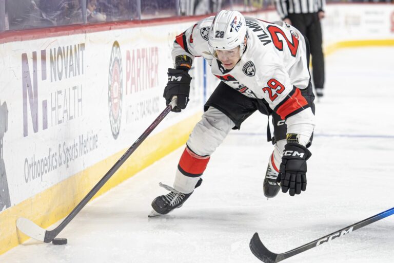 Sandis Vilmanis, hokejazinas.com