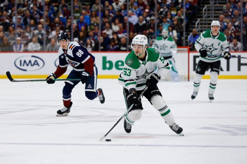 Vaiats Džonstons, hokejazinas.com