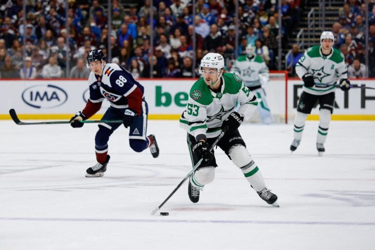 Vaiats Džonstons, hokejazinas.com