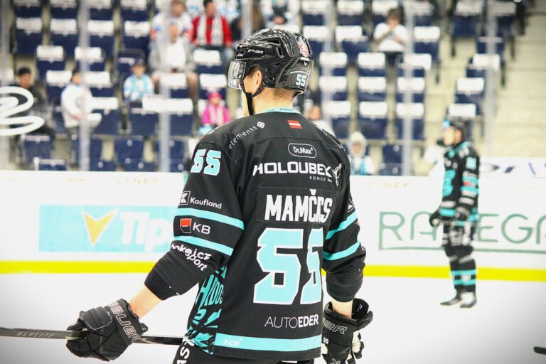 Roberts Mamčics