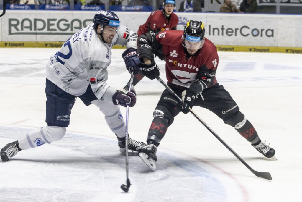 Mārtiņš Dzierkals, Hokejazinas.com