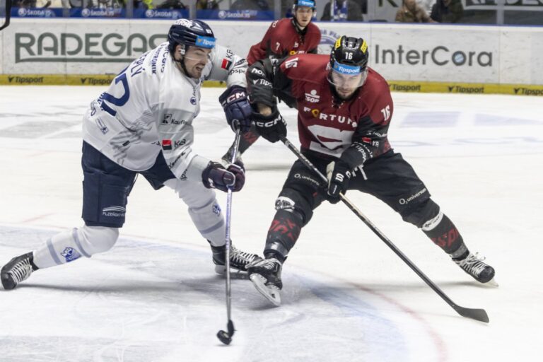 Mārtiņš Dzierkals, Hokejazinas.com