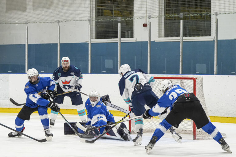 Rustams Begovs, Hokejazinas.com